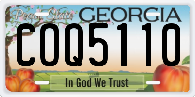 GA license plate COQ5110