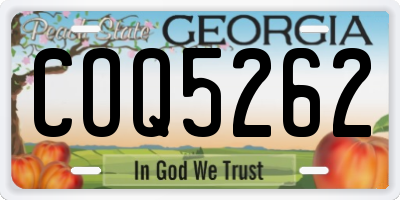 GA license plate COQ5262