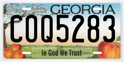GA license plate COQ5283