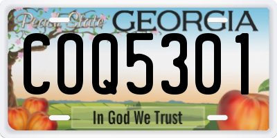 GA license plate COQ5301