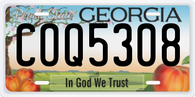 GA license plate COQ5308