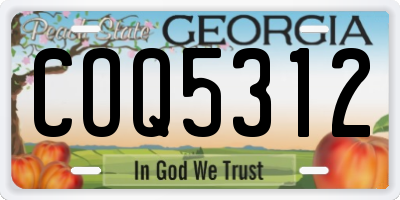 GA license plate COQ5312