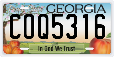 GA license plate COQ5316