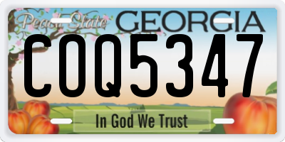 GA license plate COQ5347