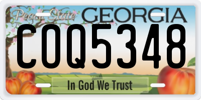 GA license plate COQ5348