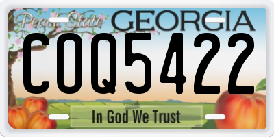 GA license plate COQ5422