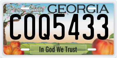 GA license plate COQ5433