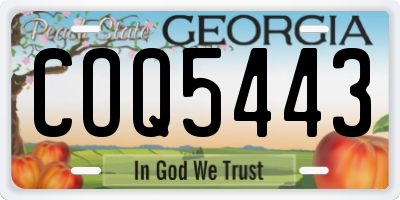 GA license plate COQ5443