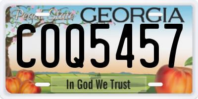 GA license plate COQ5457