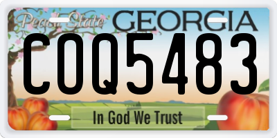 GA license plate COQ5483