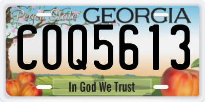 GA license plate COQ5613