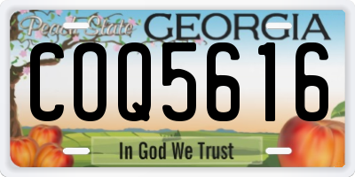 GA license plate COQ5616