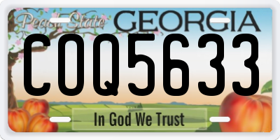 GA license plate COQ5633