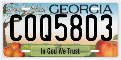 GA license plate COQ5803