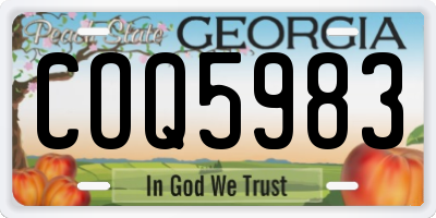 GA license plate COQ5983