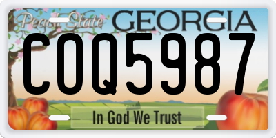 GA license plate COQ5987