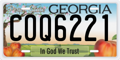 GA license plate COQ6221