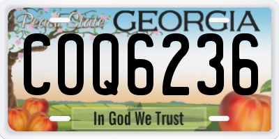 GA license plate COQ6236