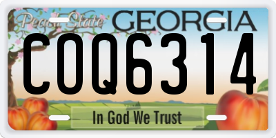 GA license plate COQ6314