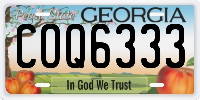 GA license plate COQ6333