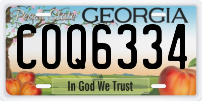 GA license plate COQ6334