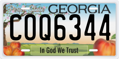 GA license plate COQ6344