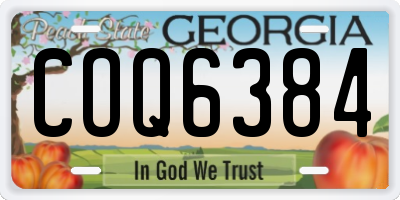 GA license plate COQ6384