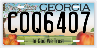 GA license plate COQ6407