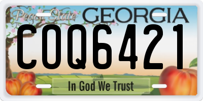 GA license plate COQ6421