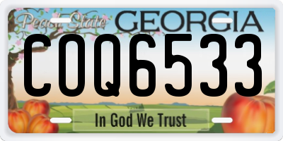 GA license plate COQ6533