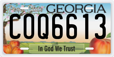 GA license plate COQ6613