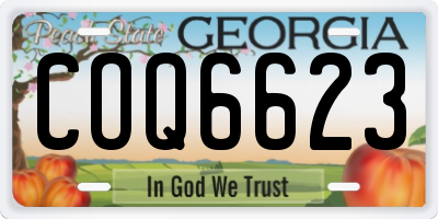 GA license plate COQ6623