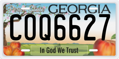 GA license plate COQ6627