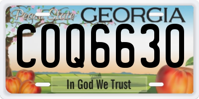 GA license plate COQ6630