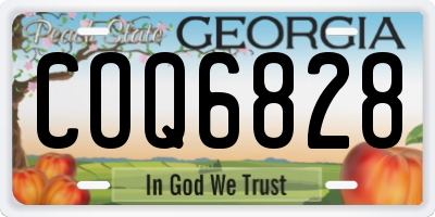 GA license plate COQ6828