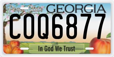 GA license plate COQ6877