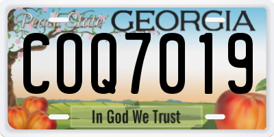 GA license plate COQ7019