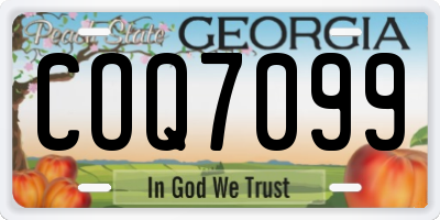 GA license plate COQ7099