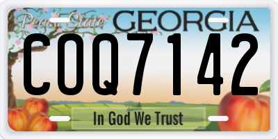 GA license plate COQ7142