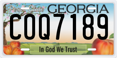 GA license plate COQ7189