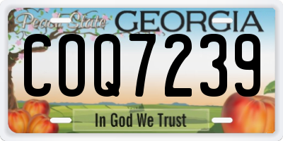 GA license plate COQ7239