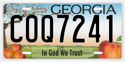 GA license plate COQ7241