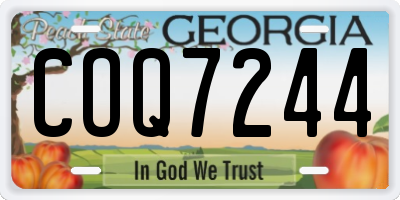 GA license plate COQ7244