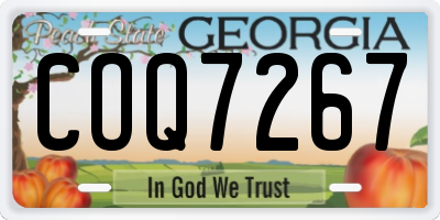 GA license plate COQ7267