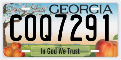 GA license plate COQ7291