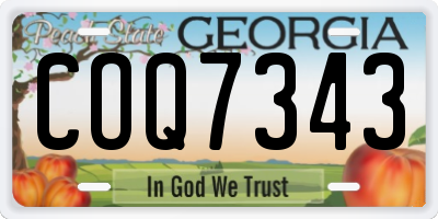 GA license plate COQ7343