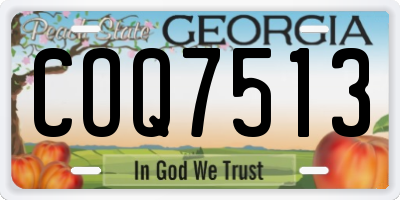 GA license plate COQ7513
