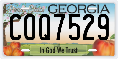 GA license plate COQ7529