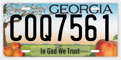 GA license plate COQ7561