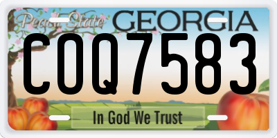 GA license plate COQ7583